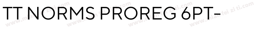 TT NORMS PROREG 6PT字体转换